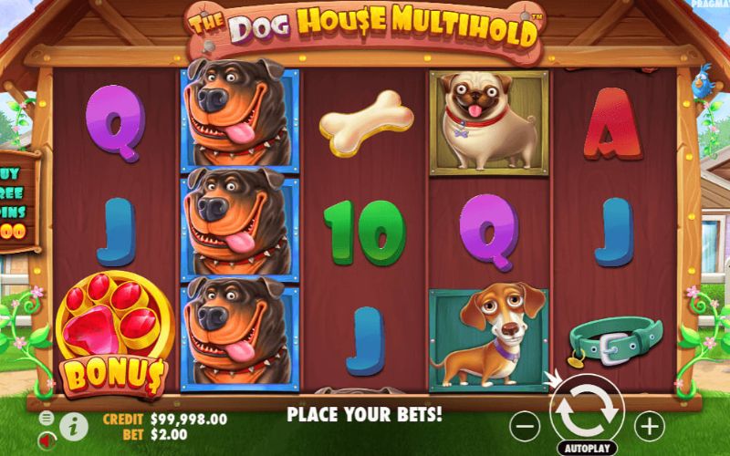 Dog Vacation Slot và những lưu ý không được bỏ qua